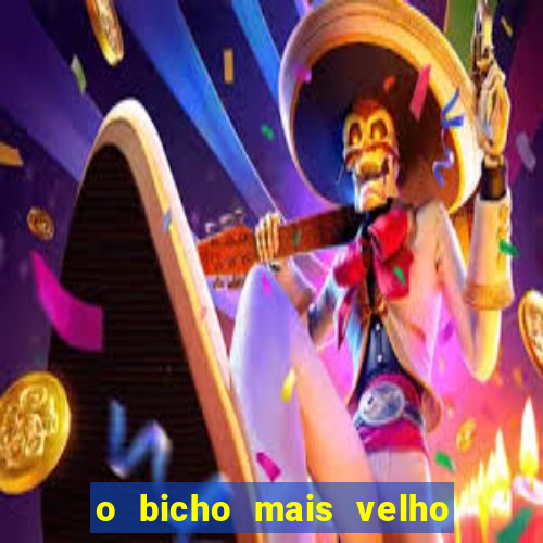 o bicho mais velho da loteria dos sonhos